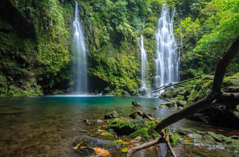 Sriwijaya Botanical Garden, Indonesia, Indonesia